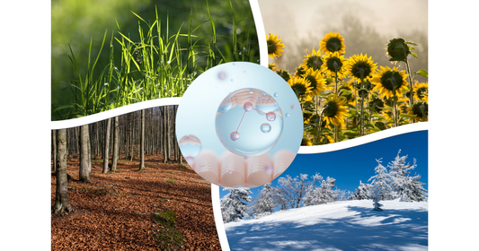 The Complete Guide to Seasonal Foot & Skin Care with Callusan